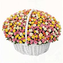 Премиум букет из: Розы в Аткарске