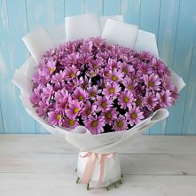 Букет цветов из:  Хризантемы в Аткарске