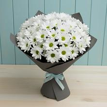 Букет цветов из:  Хризантемы #REPLACE_PRED# Аткарске
