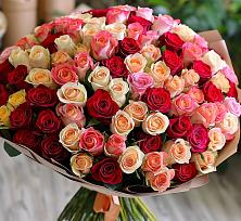 101 Разноцветная роза