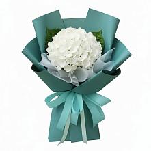 Букет цветов из:  Гортензия #REPLACE_PRED# Аткарске